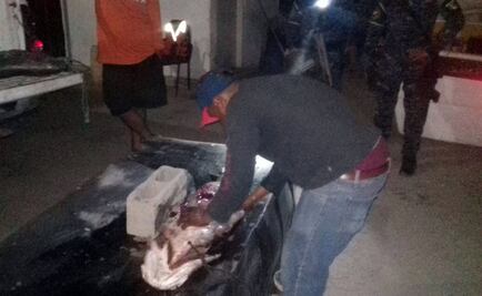 Aseguran Profepa y Marina red para pescar totoaba