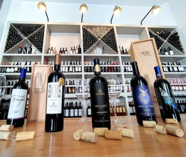 Celebra a Baco en los viñedos de Guanajuato 