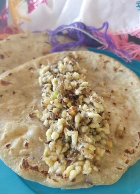 ¿Comerías tacos de larvas de avispa?
