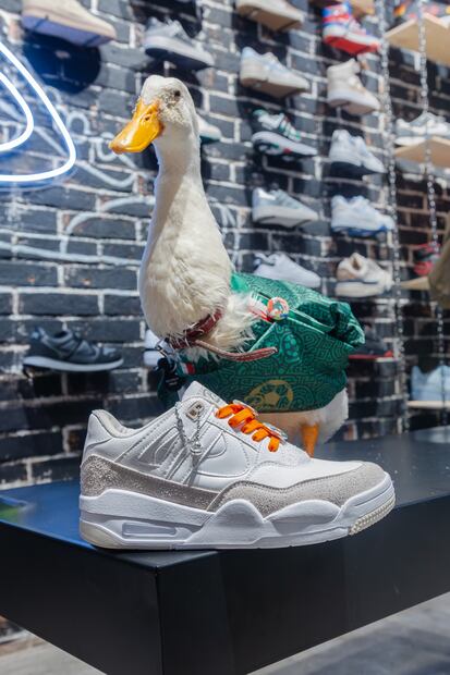 Pato Merlín inspira la nueva colección de Panam. Foto: Cortesía Panam