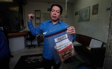 Morena tendrá hoy candidato; será legítimo: Delgado 