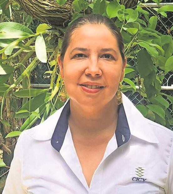 Ambientalistas insisten: Tren Maya devastará ecosistema