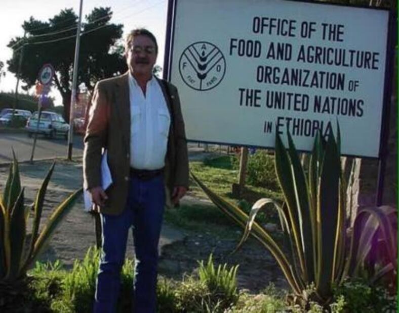 Mexicano combate hambre con nopal en África