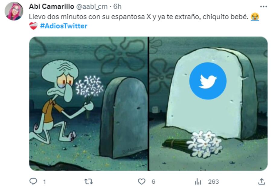Imagen: captura de pantalla