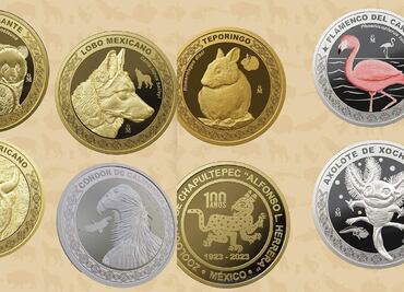 Revenden monedas conmemorativas del Zoológico de Chapultepec; hay anuncios en Amazon y Mercado Libre