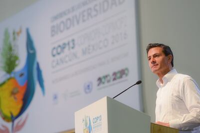 Premio a Gobierno Abierto, muestra de transparencia con ciudadanía: EPN