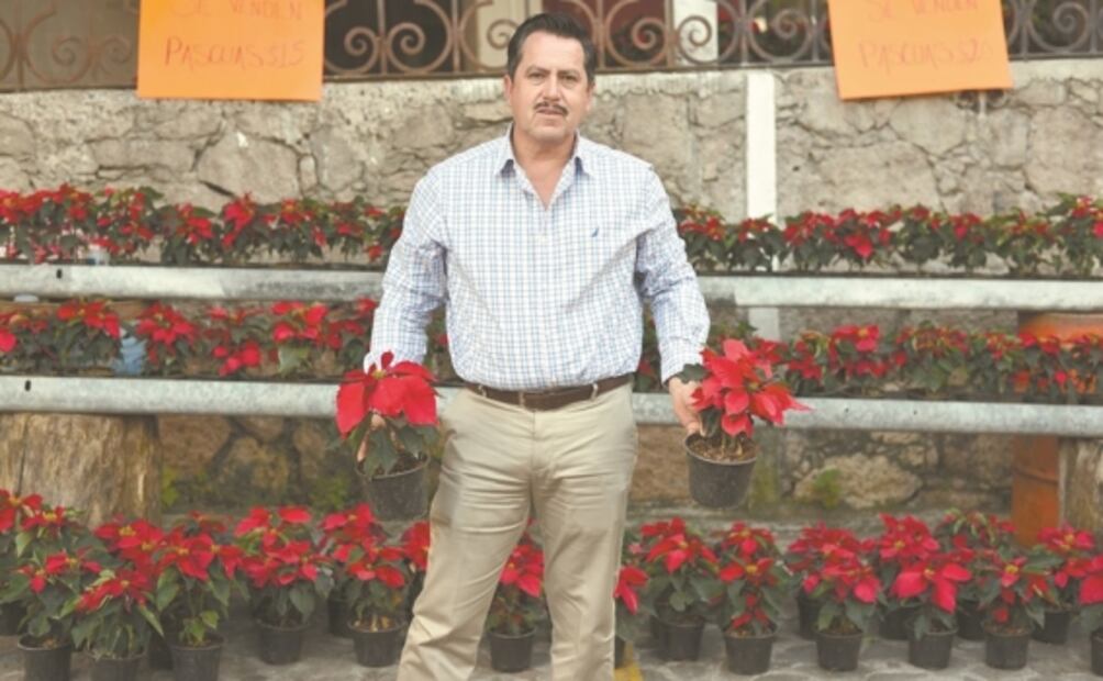 La llave prehispánica para recuperar la flor de Nochebuena