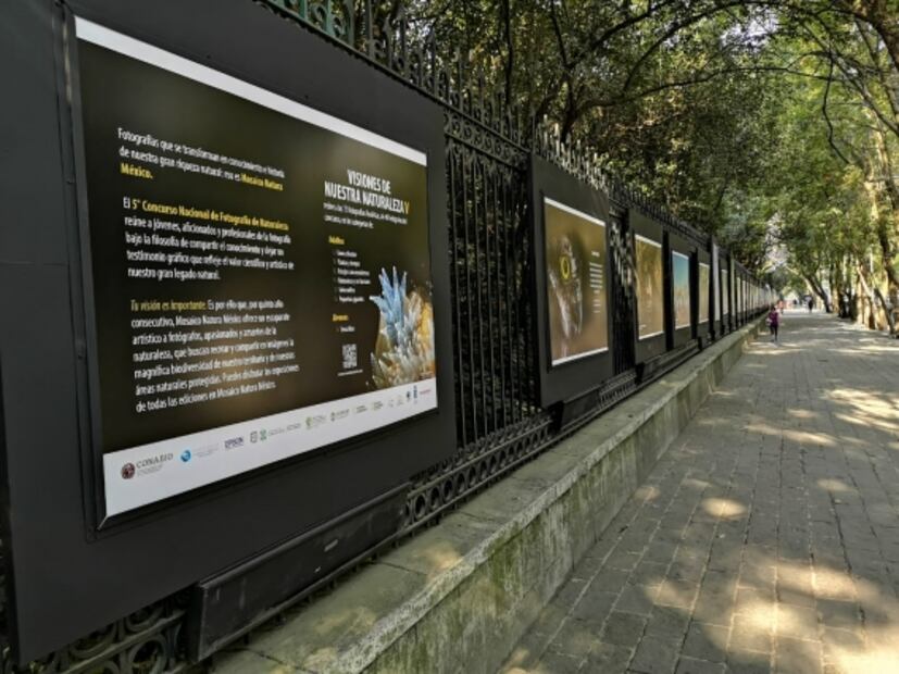 "Visiones de nuestra naturaleza" deleita desde Chapultepec