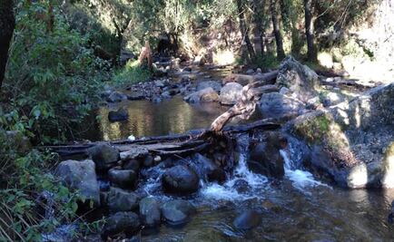 Concluyen trabajos de saneamiento del Río Magdalena