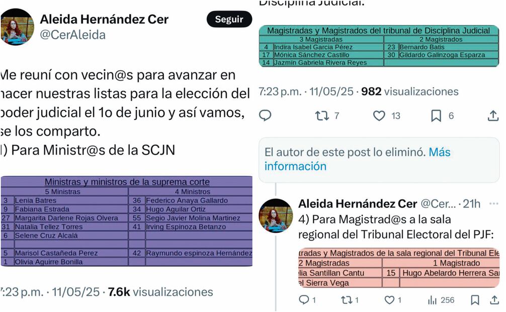 Personajes ligados a la Cuarta Transformación hacen públicas sus intenciones de voto para el próximo 1 de junio, como Manuel Pedrero, que se identifica como periodista y es cercano a la 4T; Fabrizio Mejía, escritor y analista, y Aleida Hernández, abogada y analista política en Canal Once y Canal 22. Fotos: Captura de pantalla