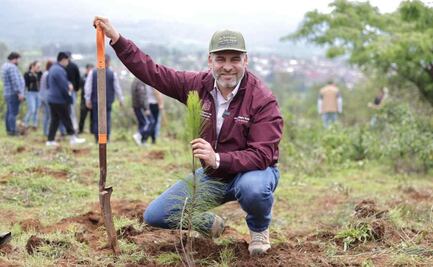 Michoacán anuncia la siembra de 10 millones de árboles; acción forma parte de la campaña de reforestación 2025