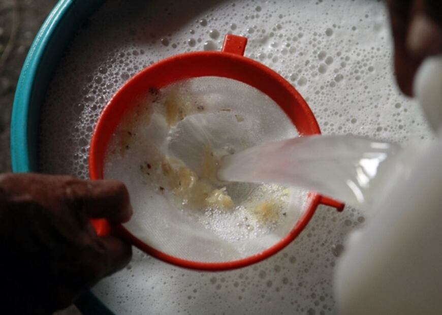 Conoce cómo se preparan los pulques curados