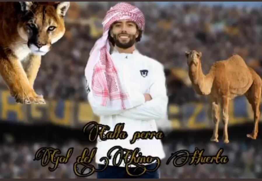 Memes Pumas