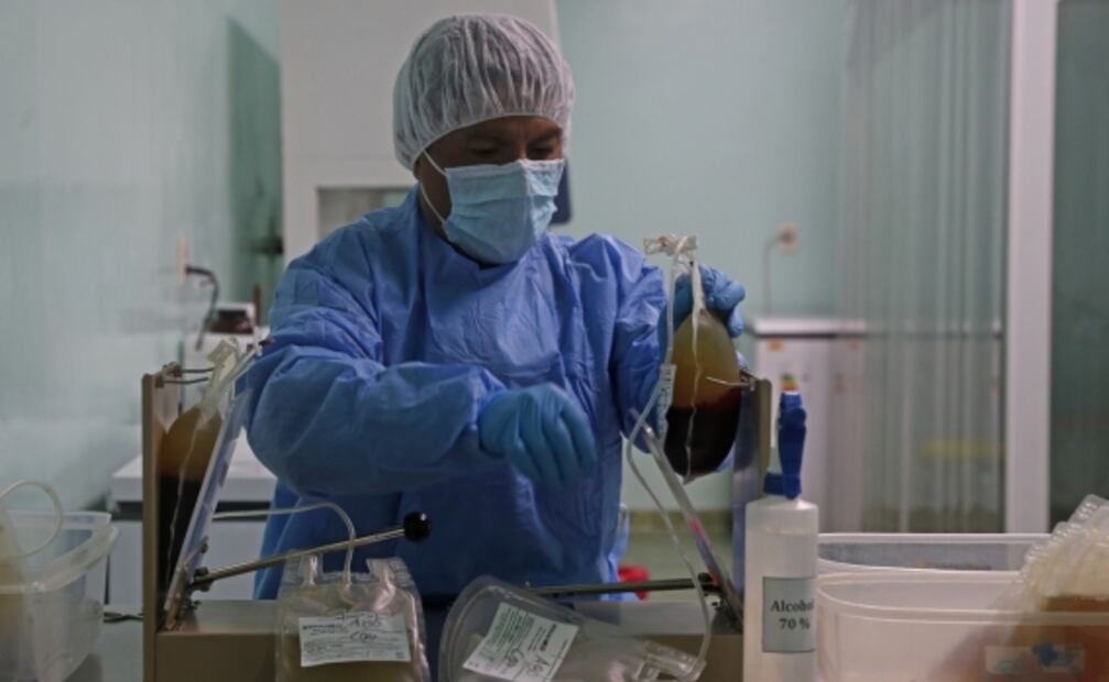 Tratan la covid-19 con suero de plasma de burros en Bolivia