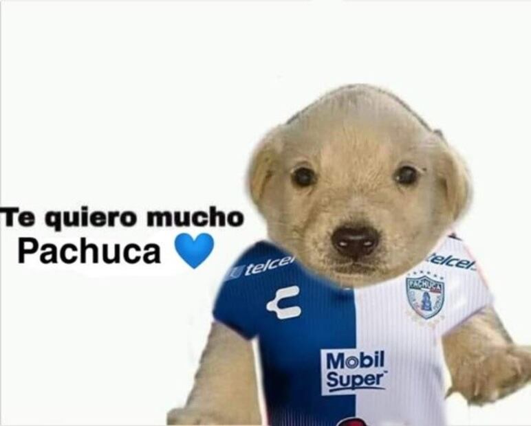 FOTO: ESPECIAL