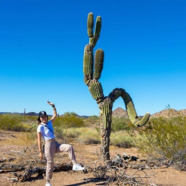 ¿Esto es Marte? Explora los cráteres del desierto de El Pinacate 
