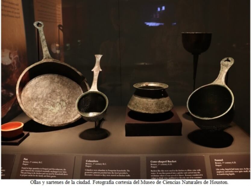Pompeya: La exhibición
