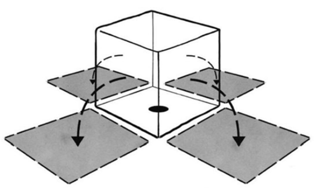 (FOTO: Tomada de YouTube)