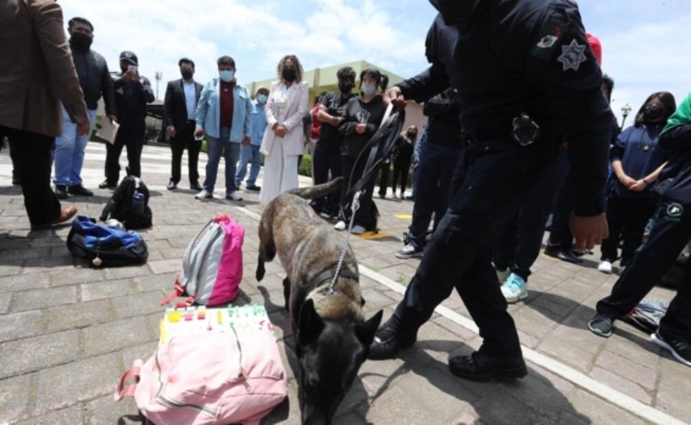 Perritos encabezan operativo para revisar mochilas en Edomex y evitar ingreso de armas a escuelas