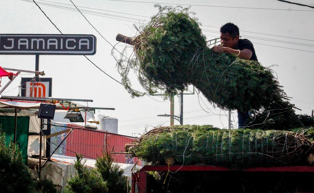 “Cada año venimos por nuestro árbol, es donde nos queda más cerca”, contó a EL UNIVERSAL una mujer procedente del Estado de México, quien visitó el Mercado de Jamaica junto a su marido y su pequeño hijo para elegir su árbol. Foto: Luis Camacho/EL UNIVERSAL