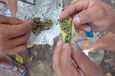 SNSP deberá informar sobre arrestos por posesión de marihuana