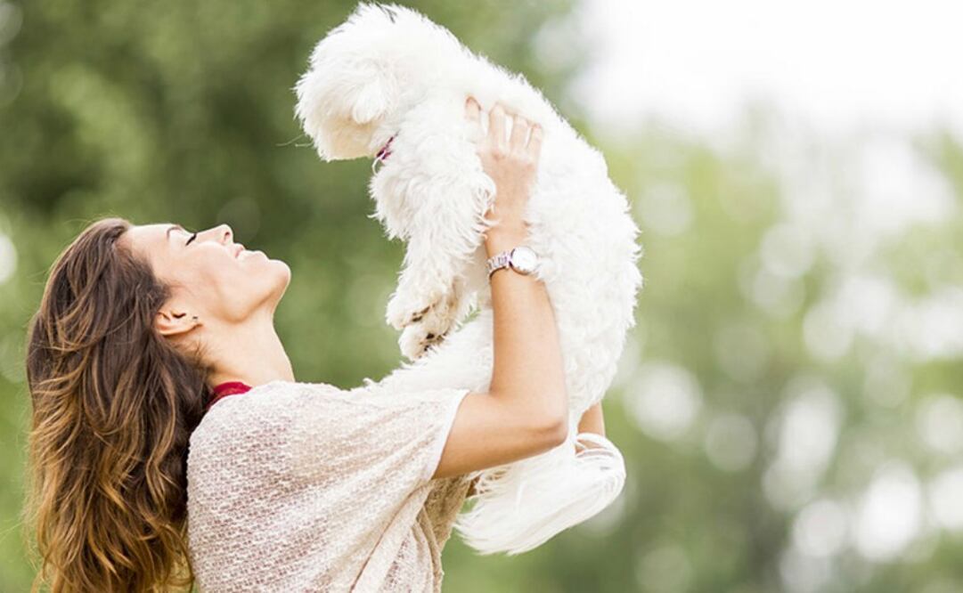 Un paseo tiene un coste de 65 pesos, y si lo prefieres puedes contratar el servicio por una semana por 250 pesos