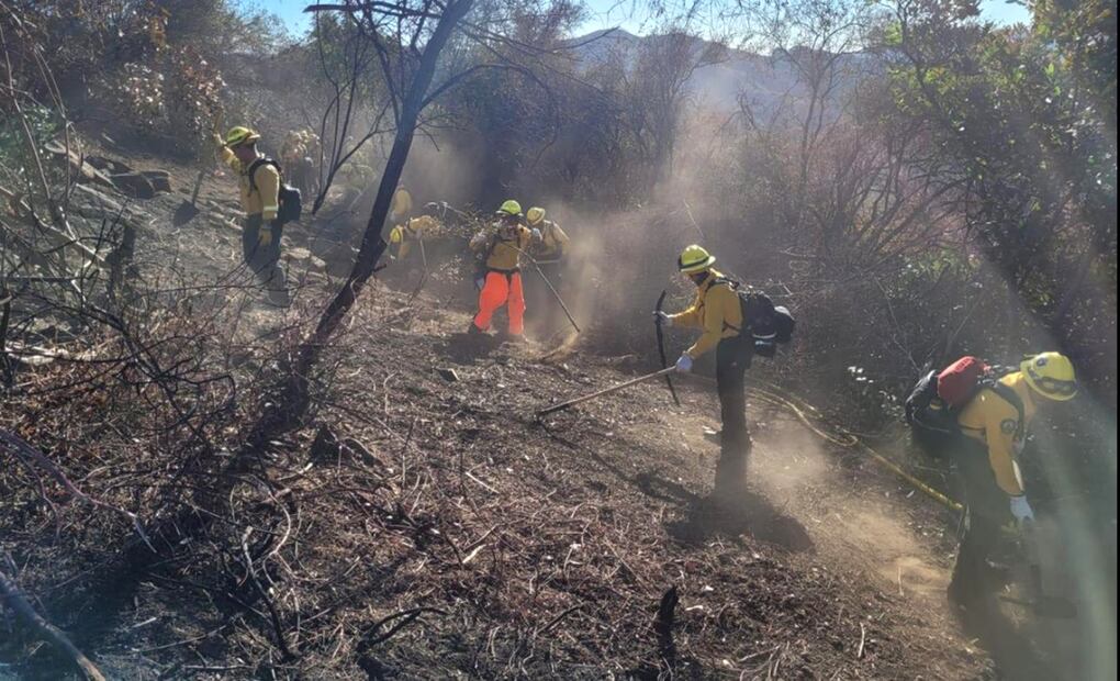 Delegación mexicana combate incendios que afectan Los Ángeles, california. Foto: @SSPCMexico