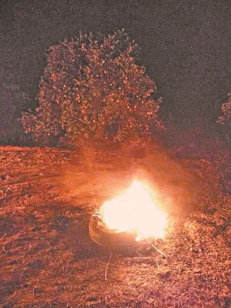 Protegen huertas a fuego lento