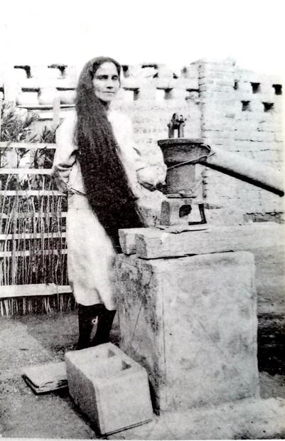 La colonia con forma de telaraña