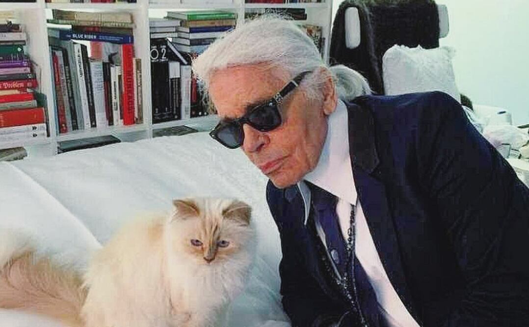 El creador con quien sería su heredero: su mascota Choupette. Foto: Instagram @choupetteofficiel