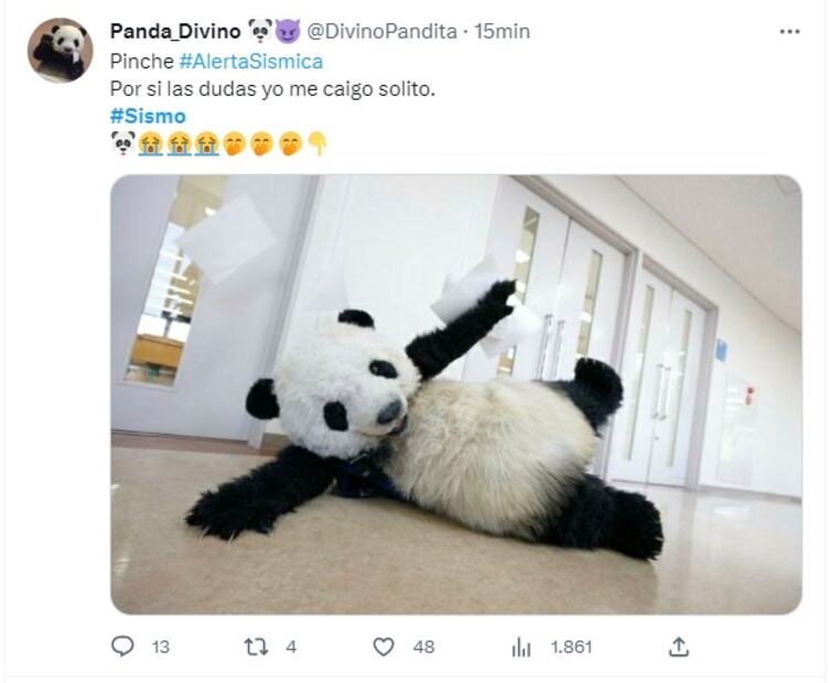 Meme Sismo en Puerto Escondido