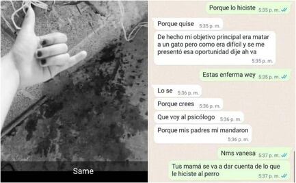 "Lo hice porque quise": Estudiante de preparatoria mata con extrema crueldad a cachorro en Huachinango, Puebla