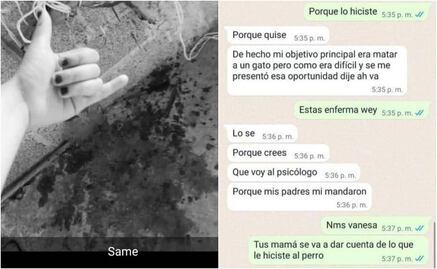 "Lo hice porque quise": Estudiante de preparatoria mata con extrema crueldad a cachorro en Huachinango, Puebla