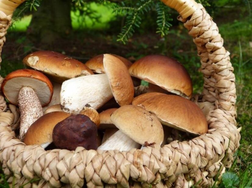 Oficios gastronómicos a los que te puedes dedicar (y no es ser chef)