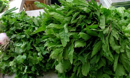 ¿Qué pasa si como epazote todos los días?