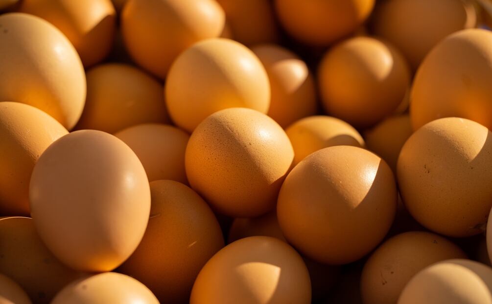 Foto: engin akyurt / Unsplash