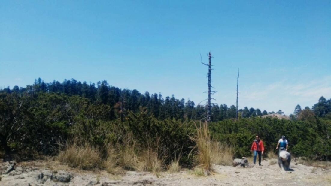 La belleza de nuestro primer Bosque Nacional 