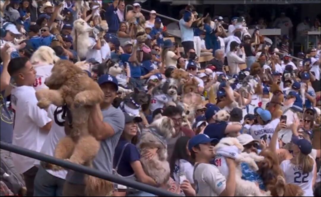 Miles de perros fueron al Dodger Stadium / Foto: Especiales