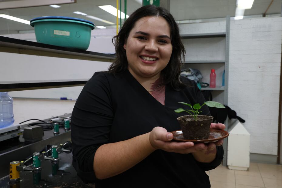 Universitarios convierten residuos sanitarios en macetas biodegradables. Foto Paola Reyes