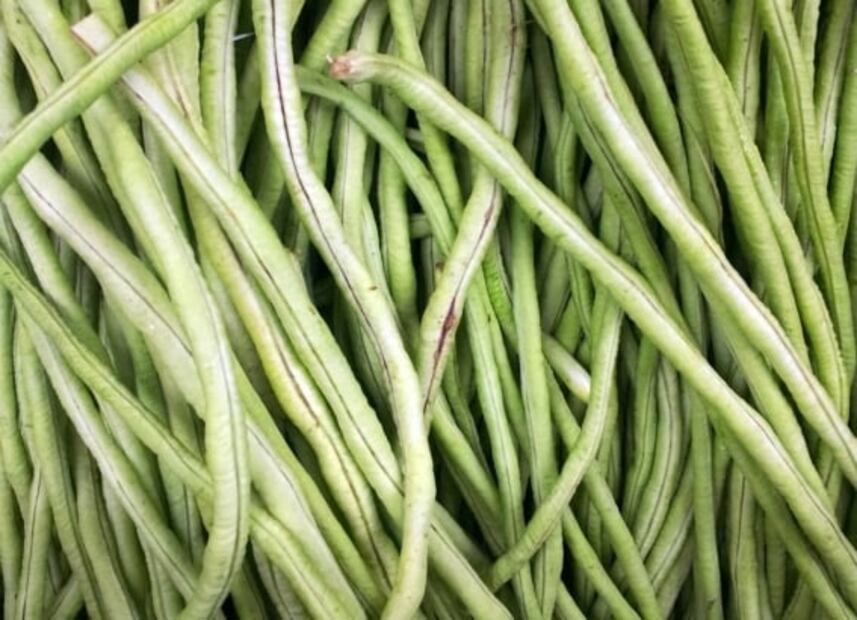 Día Mundial de las Legumbres: 10 que debes integrar a tu dieta diaria