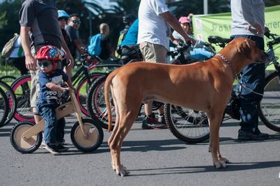 Instalarán centros de hidratación para mascotas en eventos ciclistas 