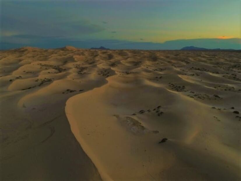 Dunas de Samalayuca: dónde está esta maravilla natural de México