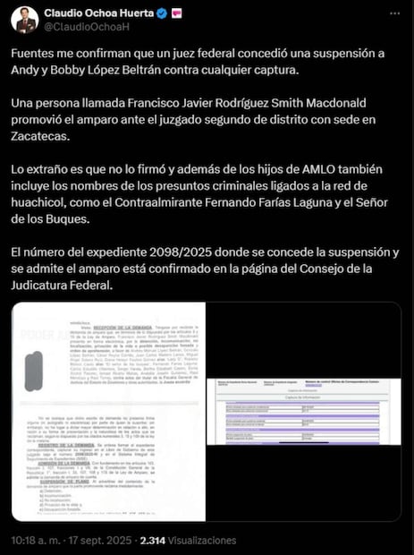 Claudio Ochoa Huerta confirmó que un juez concedió una suspensión a Andy y Bobby López Beltrán contra cualquier captura. Foto: Captura de pantalla de la cuenta de X de @ClaudioOchoaH