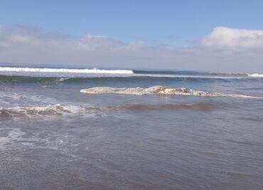 Pescadores rescatan a tripulantes de un yate en la bahía de Altata, Sinaloa