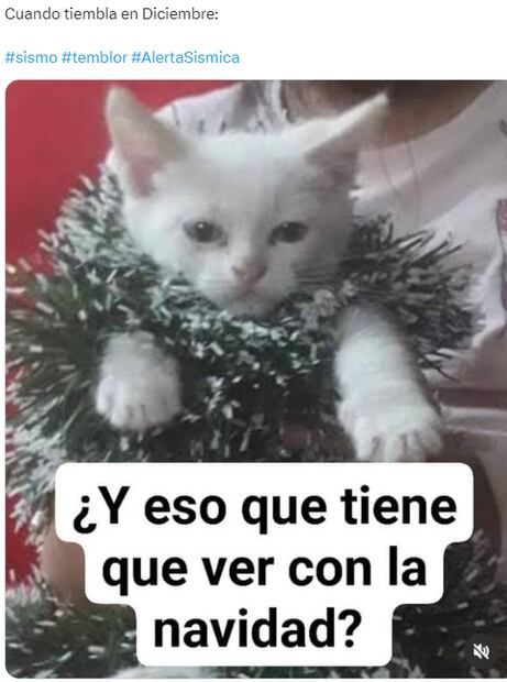 Captura vía X.