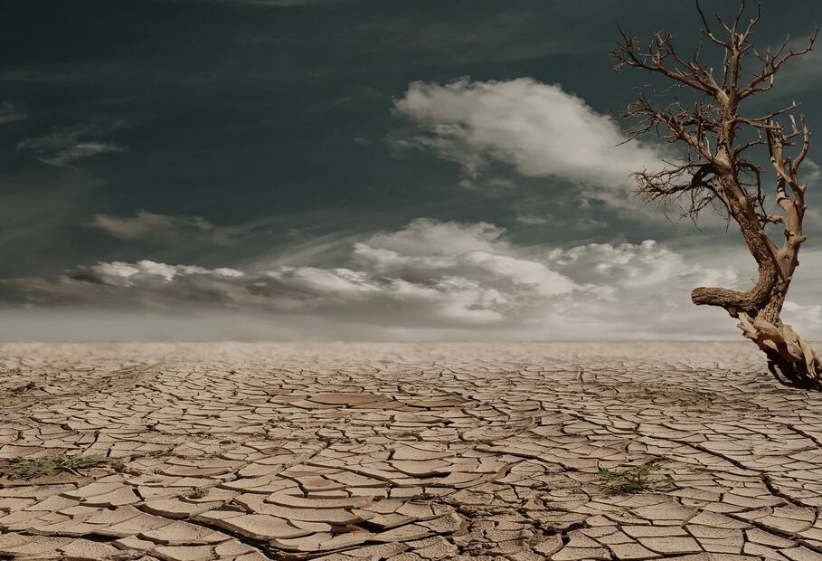 El cambio climático y la baja de recursos naturales están haciendo estragos en nuestro planeta.