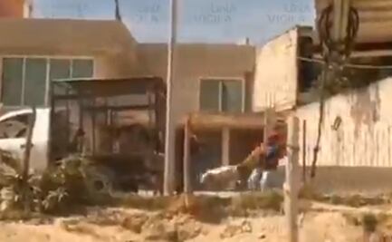 Investigan a trabajadores del Ayuntamiento de Puebla por maltratar perros