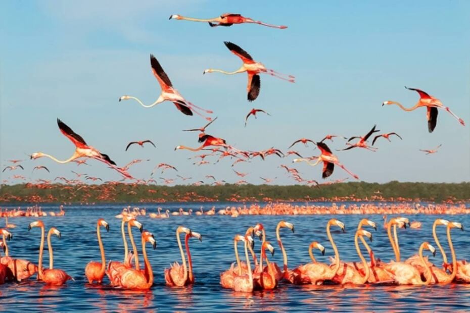 Guía de hoteles y restaurantes para un viaje de lujo en Yucatán