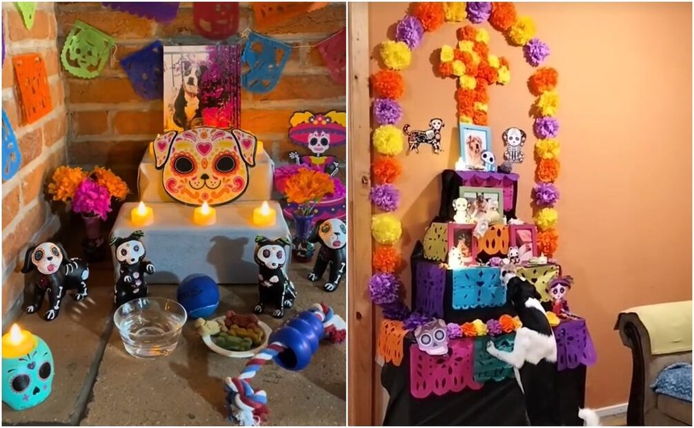 Usuarios presumen ofrenda para sus mascotas. Foto: Capturas de TikTok @la.puccaa y @alemayorgah