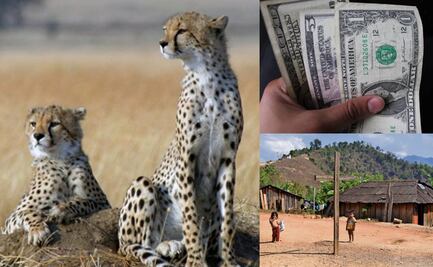 Efemérides del 4 de diciembre: ¿qué se celebra este jueves?